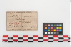 Etiketten zu Bernsteinringperle (NHMW-PRAE-024055)